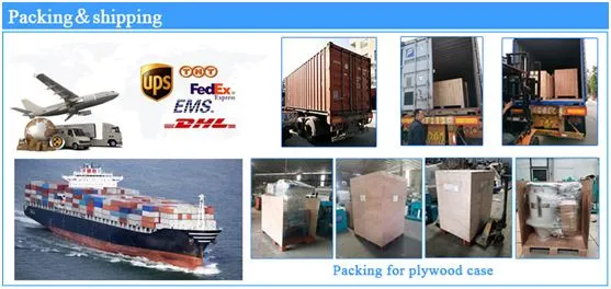 shipping shipping